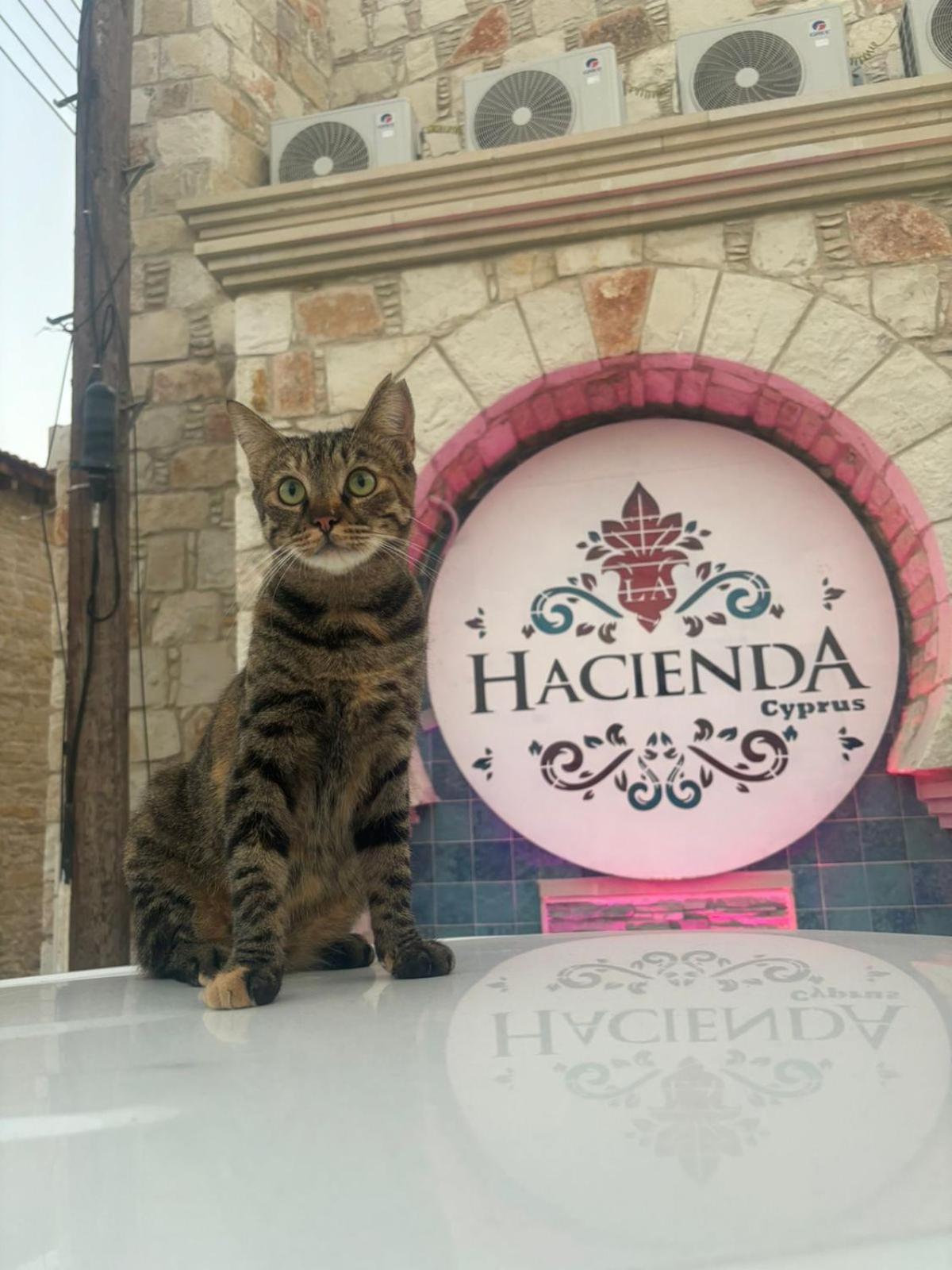 La Hacienda Cyprus Hotel ลิมาซอล ภายนอก รูปภาพ